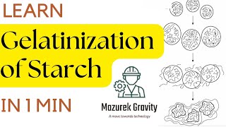 Gelatinization Of Starch  | Food chemistry | #starch