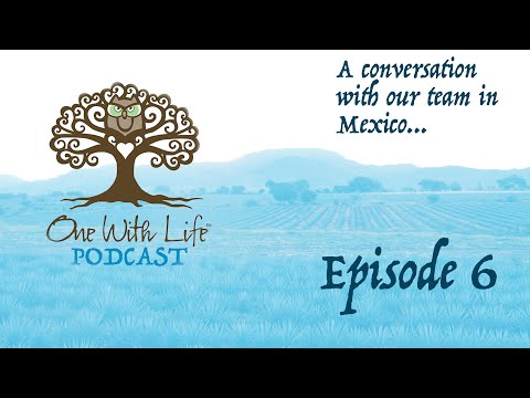 The One with Life Podcast - Episode 6 - Team Mexico