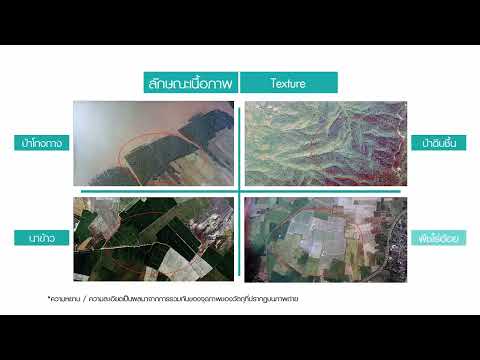 ผลสลากกินแบ่งรัฐบาล วันที่ 1 พย. 2567