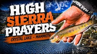 Eastern Sierra Golden Trout Blessings - Crystal lake | Mammoth Lakes CA