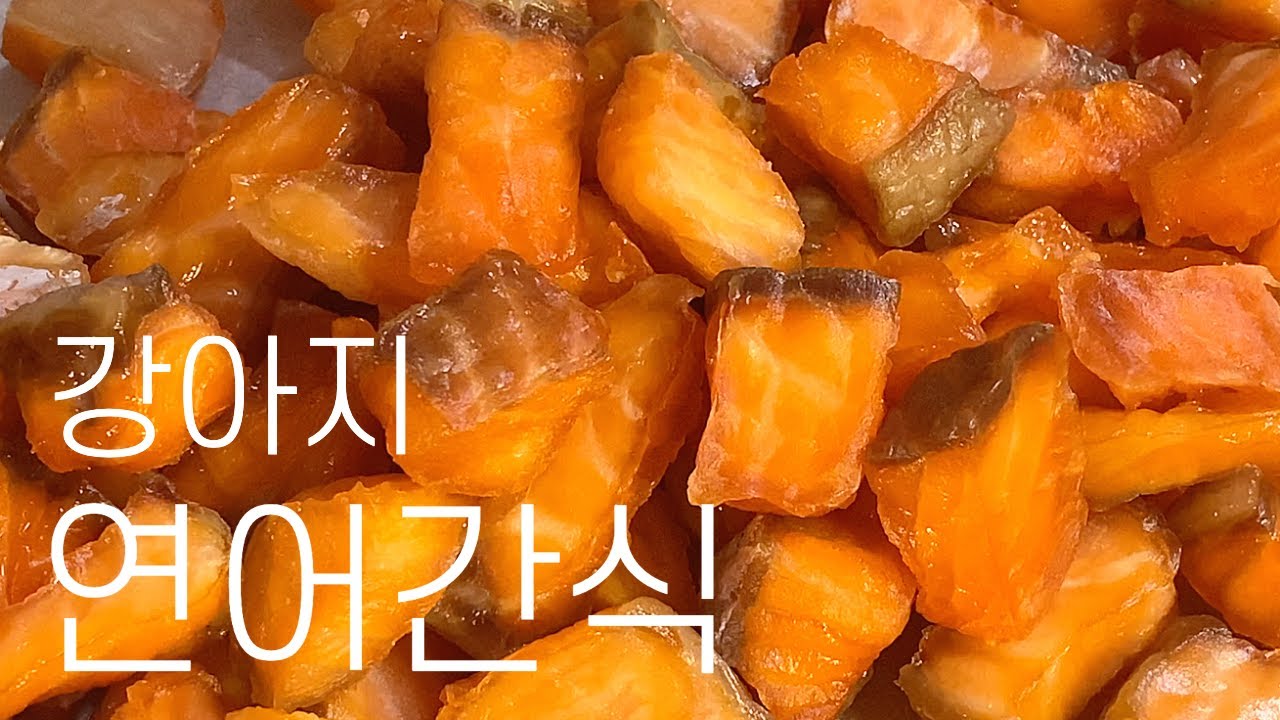 강아지 연어 수제 간식 만들기