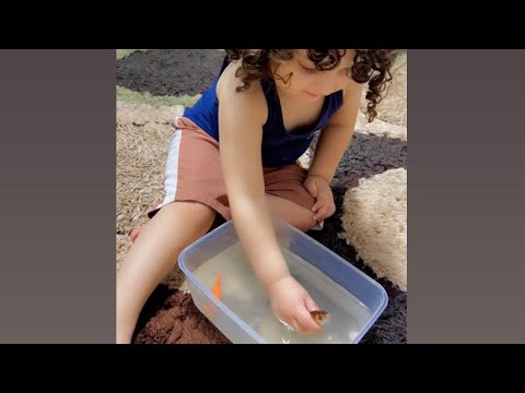 ترنديت تيك توك رد الفعل غير متوقعة