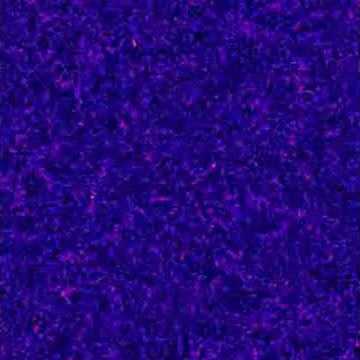 262144 512 512 1 0 5 0 5 sr max10