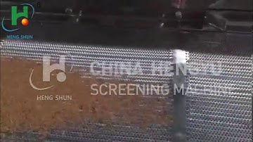 linear vibrating sieve screen sifter sieving for powder