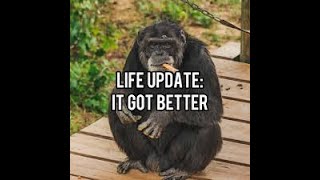 Life and Channel update 2K25