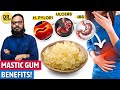 Mastagi roomi khane ke asal fawaid mastic gum benefits  dr ibrahim