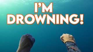 I almost Drown while spearfishing [Catch and Cook]