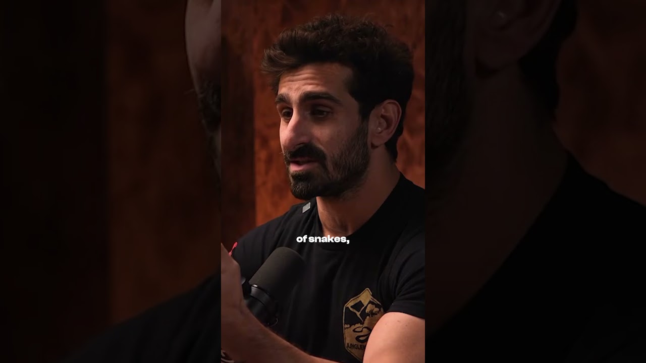 Raj Samani Podcast Intro