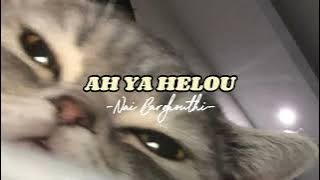 Ah Ya Helou (speed up) - Nai Barghouthi