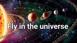 Fly in the universe