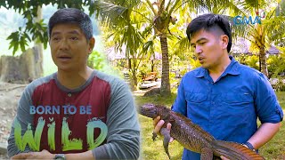 Join Docs Ferds and Nielsen as they explore the world of a dragon-like lizard | Born to be Wild