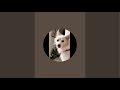 I am Shiro is live