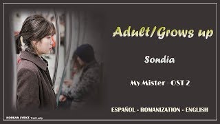 Video thumbnail of "Sondia - Adult/Grows up (Lyrics) | Español - Rom- English | My Mister OST Part.2"