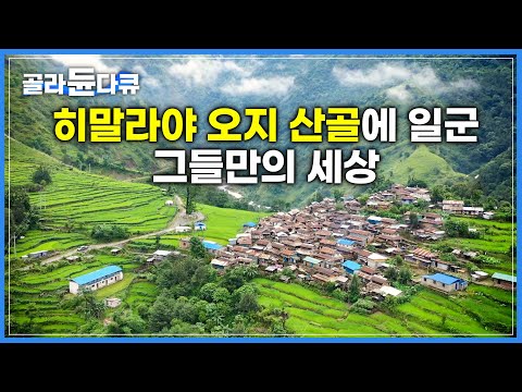 안나푸르나가 품은 작은 마을|히말라야 소수민족 구룽족이 사는 법|네팔 나이체 마을|세계테마기행|#골라듄다큐