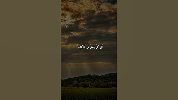 سورة الإسراء { ٨٢ _ ٨٥ } #ياسر_الدوسري #القرآن #رمضان #قرآن_كريم