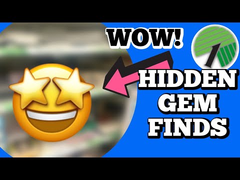 High-end HIDDEN GEMS at the Dollar Tree! (watch what I picked up at Dollar Tree!)