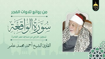 الشيخ أحمد محمد عامر | سورة الواقعة | تلاوة فجر رائعة بجودة عالية