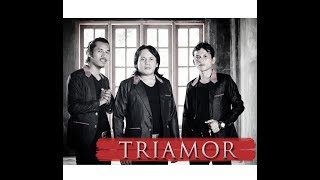 akhirnya....!! Bocoran album ke II : TRIAMOR - Holan Ho