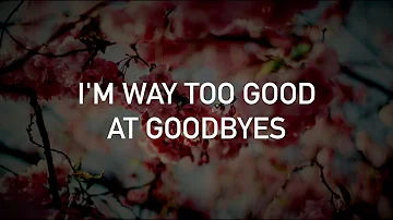 Demi Lovato - Too Good at Goodbyes (Sam Smith cover, with lyrics)