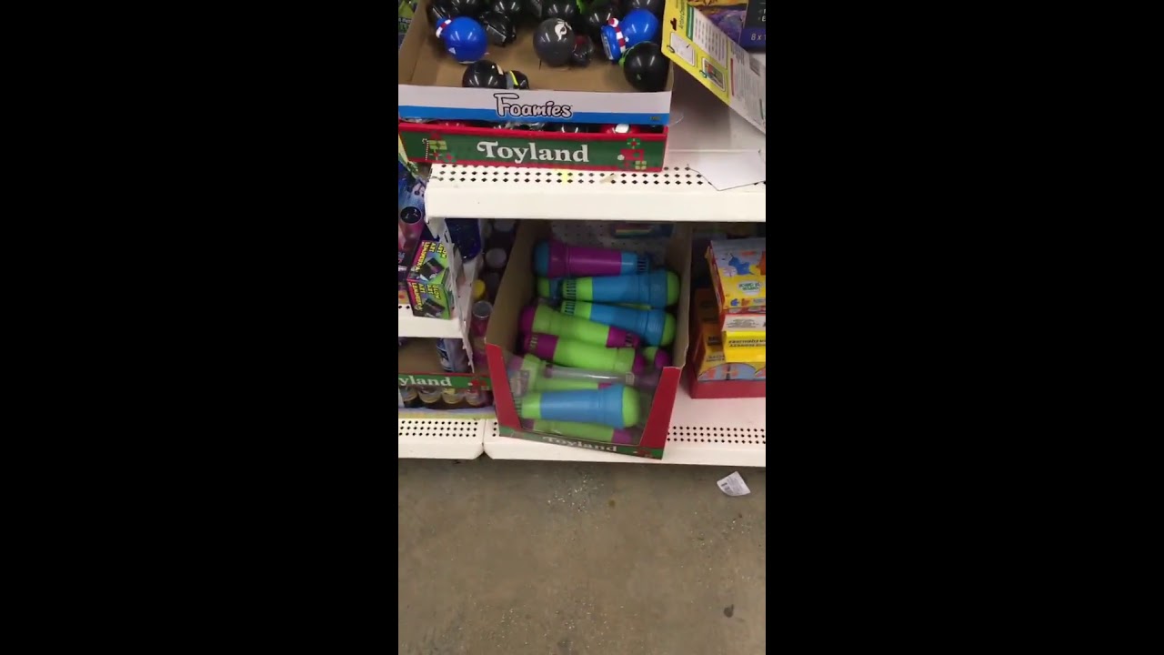 Dollar Tree has some Interesting New Inventory YouTube