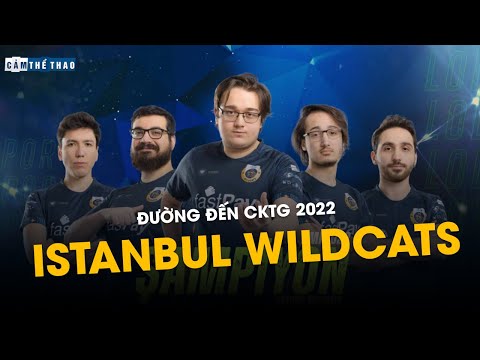 Video ĐƯỜNG ĐẾN CKTG 2022 | ISTANBUL WILDCATS - MÈO CON THỔ... - youtube