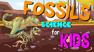 What are Fossils | Science for Kids