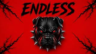 [FREE] Freestyle Type Beat 2026 – "ENDLESS" | Dark Trap Beat | Hard Rap Instrumental