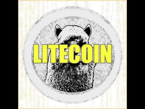 Dlaczego warto wybrać Litecoin w kasynie Pixelgame?