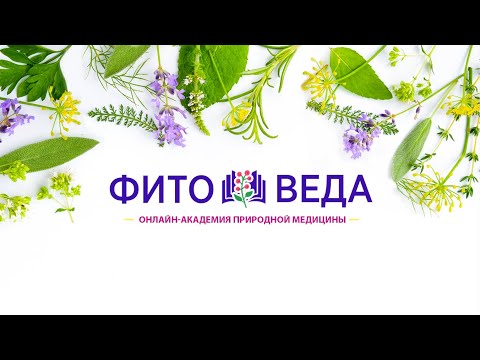Целебный аптекарский огород Презентация