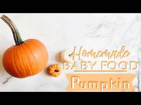 How to Make Your Own Baby Food! PUMPKIN