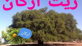 فوائد زيت أركان فوائده كثيرة جدا إستمع لها