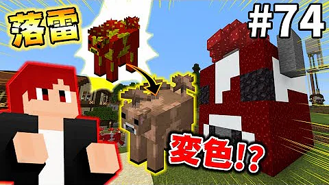 茶色ムッシュルームマイクラ