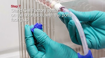 Aseptic cell culture scale up using Nunc Cell Factory System, tubing set and peristaltic pump
