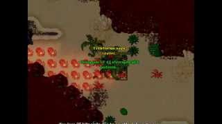 Celebrity Tibiaent.com - Test Server 2009 Darashia Dragons Net Worth