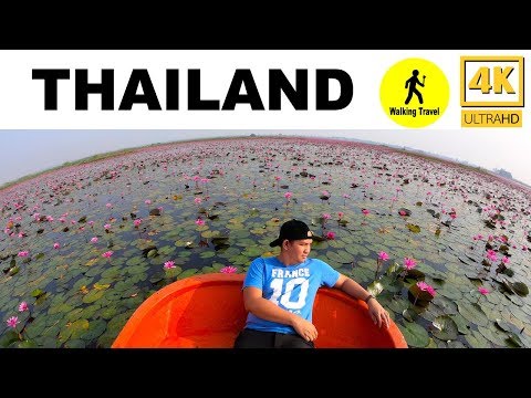Video: Cum Să Vizitați Thailanda 