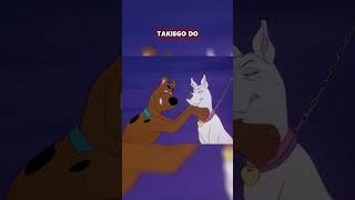 Fałszywy recenzent + AI tekst!