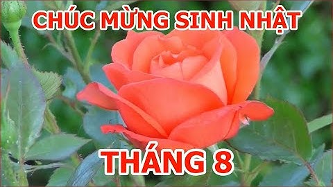 Chúc mừng sinh nhật! - Câu nói hay, lời chúc đẹp, clip vui