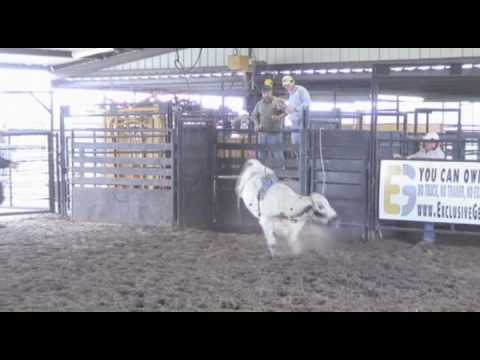 2010 Futurity Bull 873 owned by John Puckett and t...