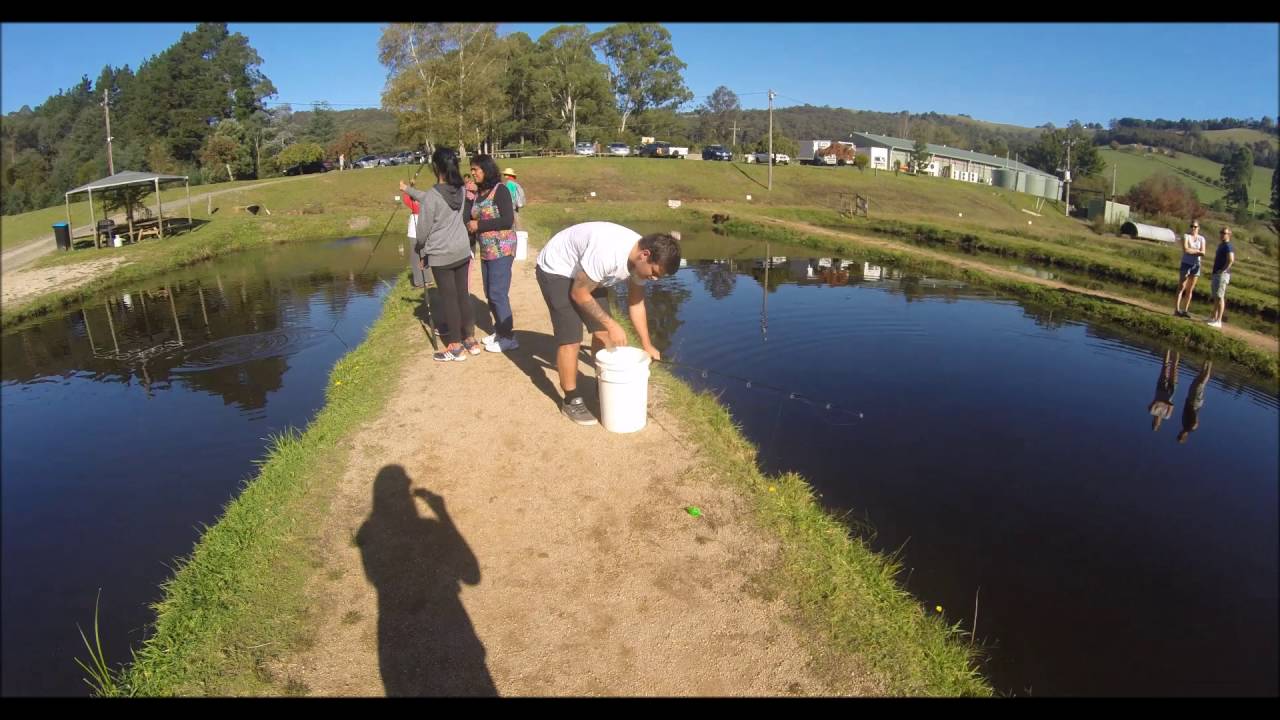 Trip 8 Noojee Trout Farm YouTube