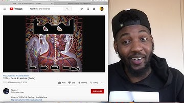 TOOL - Ticks & Leeches (Audio) Reaction
