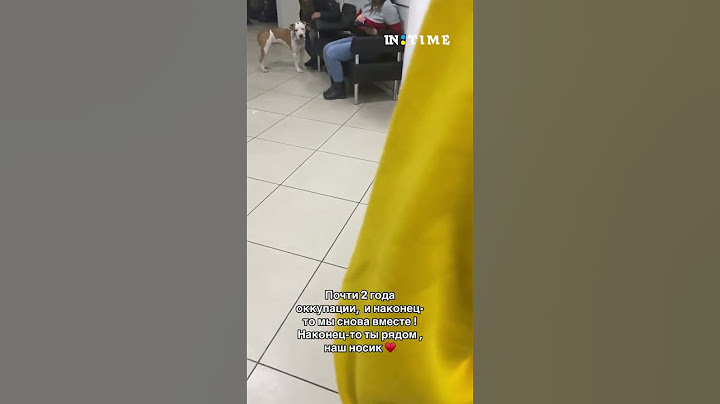 Майже 2 роки в окупації і нарешті ми знов разом з нашим носиком. #shorts