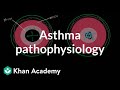 Asthma pathophysiology | Respiratory system diseases | NCLEX-RN | Khan Academy