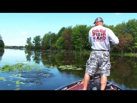 XTV- Big pig bass in slop!