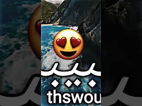 الحب الحب سنيوريتا