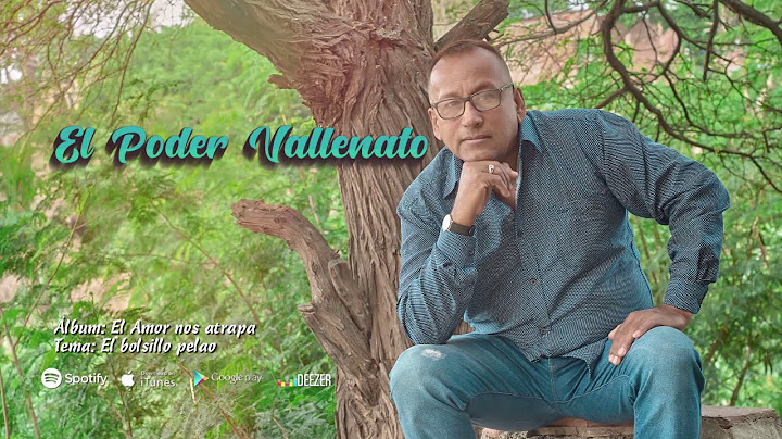 El bolsillo pelao  - El Poder Vallenato (Audio Oficial)
