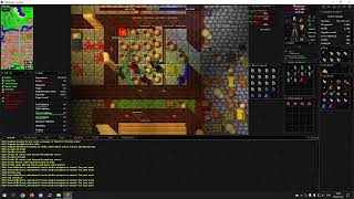Tibia 7.4 - Orc Berserker Thais