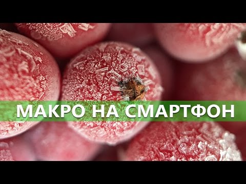 Как делать впечатляющие МАКРО-снимки на смартфон - Школа мобильной фотографии e05