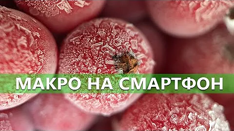 Как делать впечатляющие МАКРО-снимки на смартфон - Школа мобильной фотографии e05