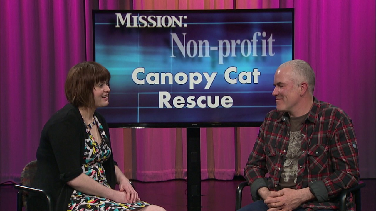 Mission Non Profit Canopy Cat Rescue YouTube