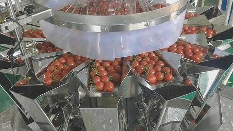 Cherry tomato tray packing line